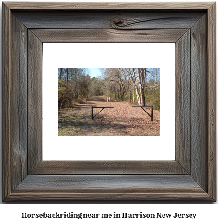 horseback riding near me in Harrison, New Jersey